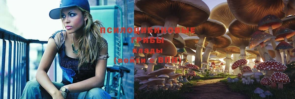 дживик Алексин